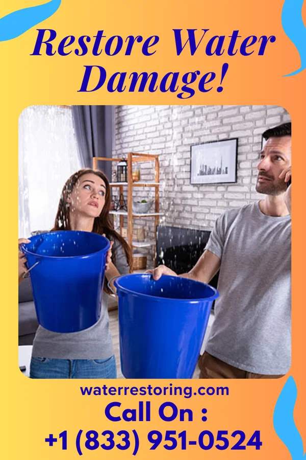 water restoration Sentinel Damage Recovery & Associates South Nyack