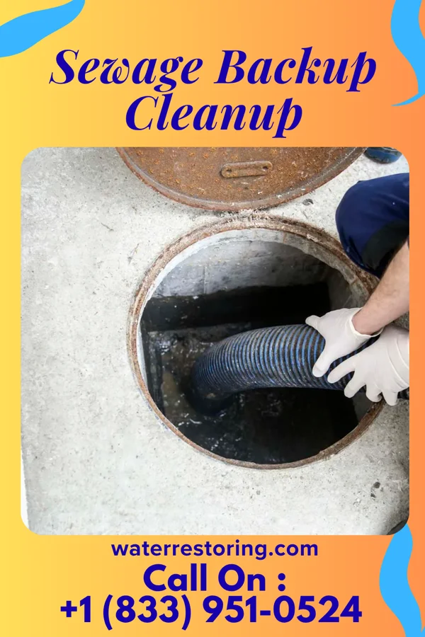 Sewage Backup Cleanup in South Nyack, NY