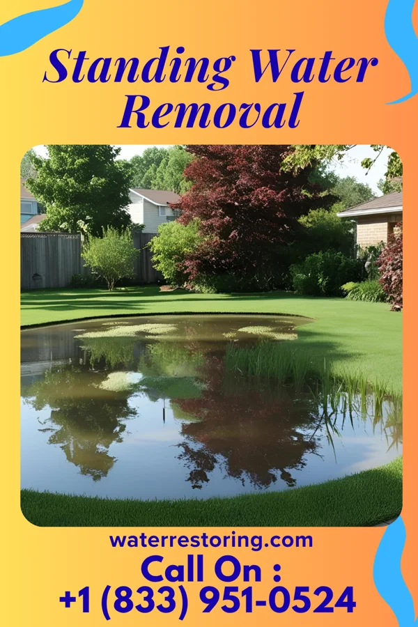 Standing Water Removal in South Nyack, NY
